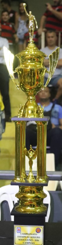 Campeonato Estadual 2016